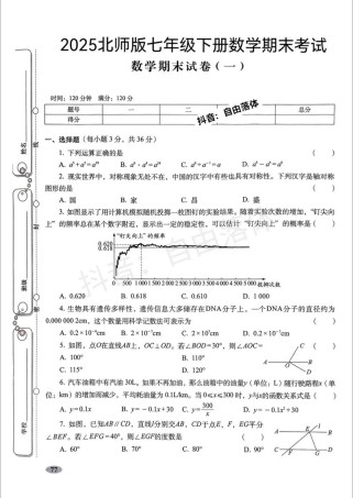 北师大七年级期末试卷有何重点难点？