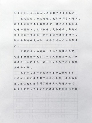小学生元宵节的作文