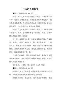 以什么的力量？