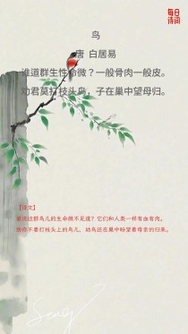 古诗中鸟的意象，藏着多少文人密码？