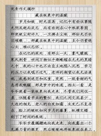 藏在何处有精彩作文？