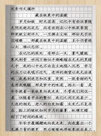 藏在何处有精彩作文？