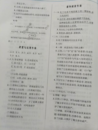 七年级语文达标卷答案哪里找？