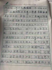 乌鸦崇拜缘何从神坛跌落成不祥之兆？