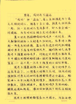 如何积累高效议论文素材，让作文更成功？