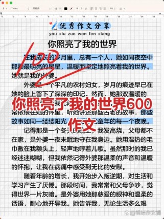 一句话照亮世界作文