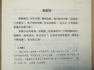古诗文雨霖铃诗朗诵，为何情愫如此动人？