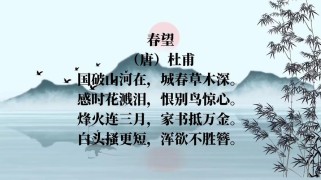 古诗四首春望PPT如何解读杜甫的春望之情？