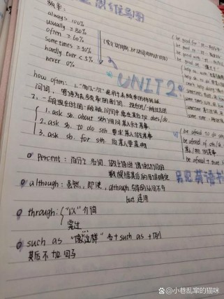 八年级上册英语2单元重点是什么？