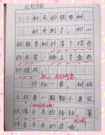 秋天有哪些好玩的？