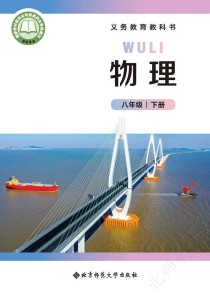 北京课改版八年级物理重点难点解析？