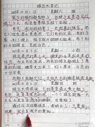 种子如何冲破泥土，迎来第一缕阳光？