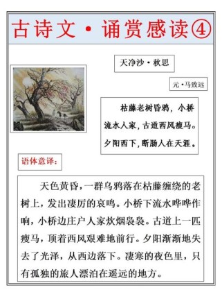 天净沙·秋思古诗答案是什么？