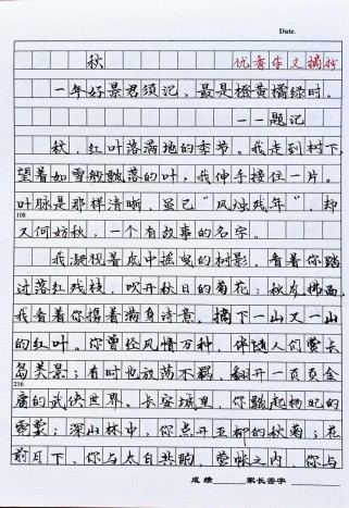 秋天作文中学，如何写出独特秋景与感悟？