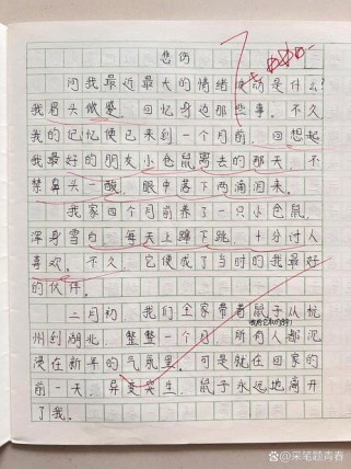 六年级写事的文章有哪些