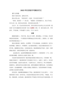 南昌中考语文作文