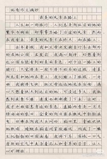 初中优秀作文叙事