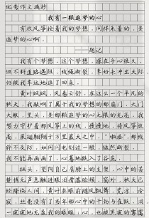 2025的梦想作文，藏着怎样的期待与努力？