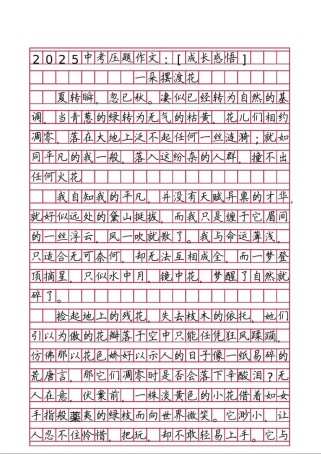 中考热点作文素材有哪些？