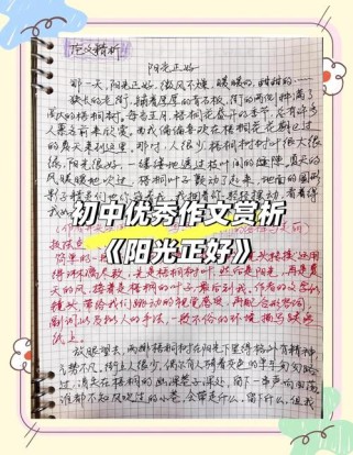 中考优秀作文如何写出彩？赏析有何秘诀？