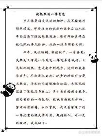 心中的一抹亮色作文