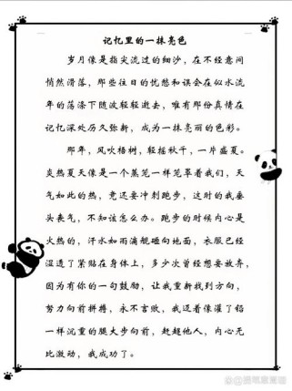 心中的一抹亮色作文