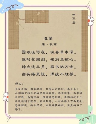 春望考点有哪些？