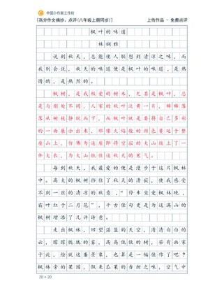 作文评析与赏析，有何核心方法与技巧？