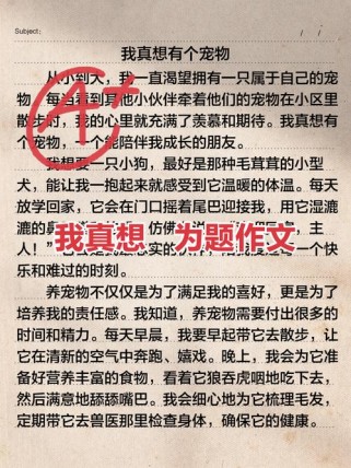 初三的我，究竟该想什么？