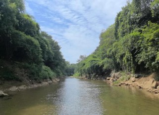 小石潭记填空考点有哪些？