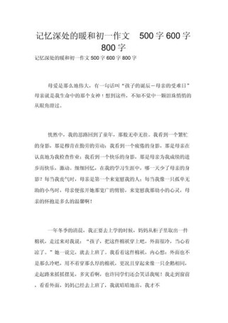 记忆深处的温暖600字