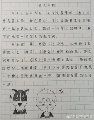 流浪狗的日记里藏着多少不为人知的故事？