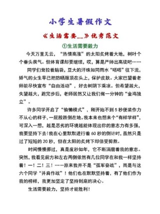 生活中需要 作文