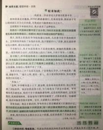 原来他是这样的作文，藏着什么故事？