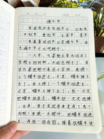 端午节的900字作文写了哪些独特故事？