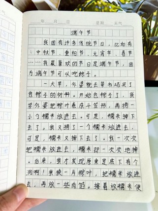 端午节的900字作文写了哪些独特故事？