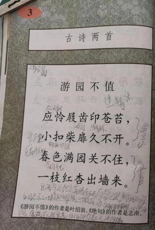 古诗测考后，语文学习该转向何方？