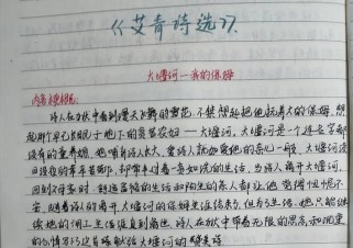 大堰河，保姆作文为何饱含深情？