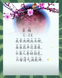 石灰吟与墨梅古诗意思何在？