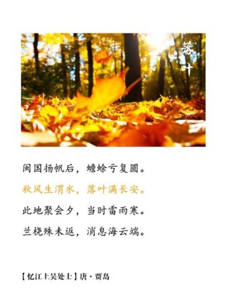 秋日植物古诗词，藏着哪些不为人知的诗情画意？