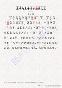 八下古诗文言文，重点难点怎么掌握？