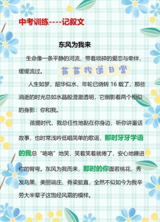 东风为我而来的作文