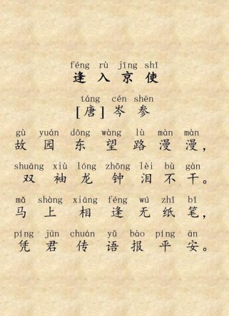 初一下语文古诗文言文如何高效掌握？