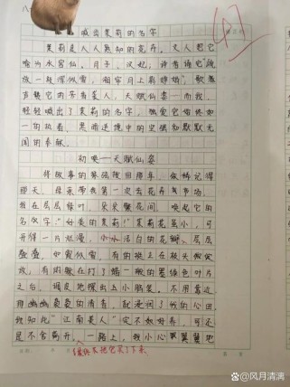 八年级优秀作文如何写出彩？