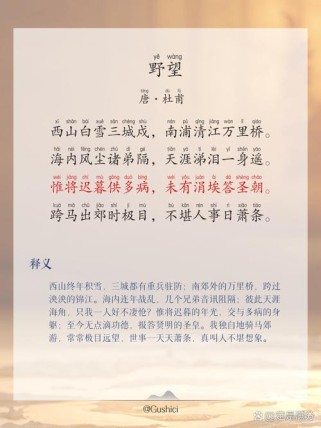 野望诗中蕴含着诗人怎样的心境？