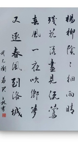 春兴古诗表达了诗人怎样的情感？