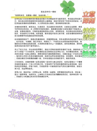 北京中考语文作文素材有哪些高效积累方法？