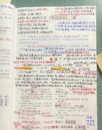 七年级上册世说新语翻译难点有哪些？