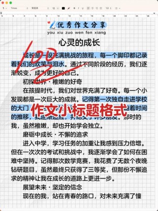 格式有哪些技巧？