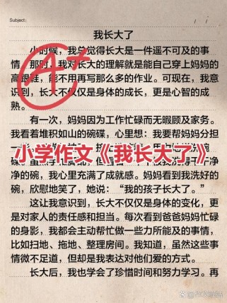 长大了不容易作文